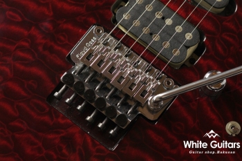 SCHECTER NV-3－22 | White Guitars Online Store